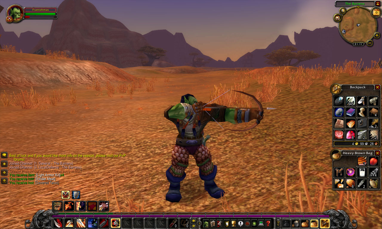 WoWScrnShot_050909_211235.jpg